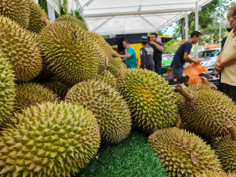 Pakdo Durian HQ