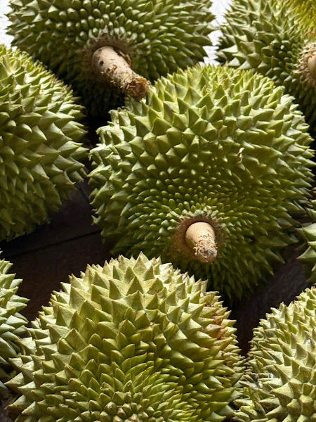 Thorns&Co（Durian by the mamak)