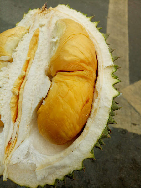 Wholesale Durian Queen Johor