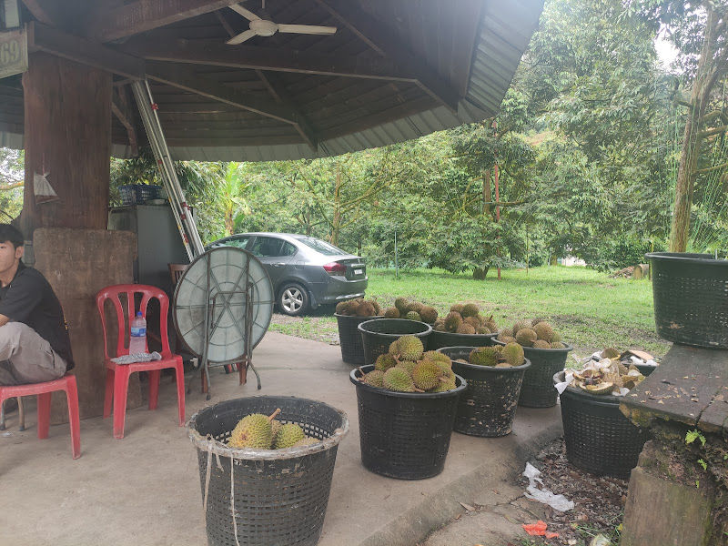 UNITED RAUB DURIAN SDN BHD