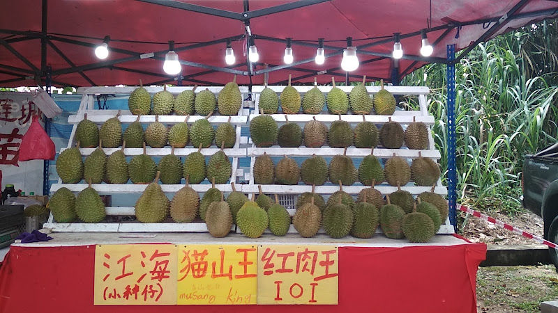榴莲城 Durian City - 品质好，放心买