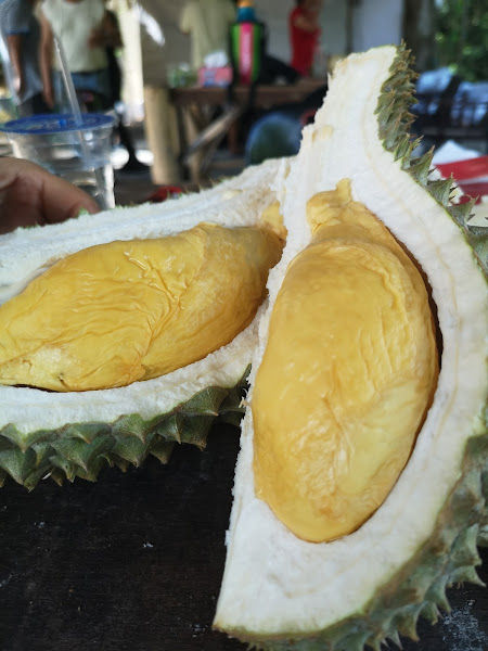 Durian Cap Tangan