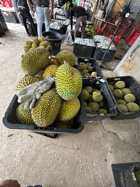 Durian Farm (Wilson)
