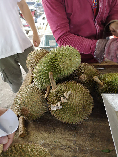 Pekan Junjong ( Famous Durian Town also known as oldest Town in Southern Kedah )