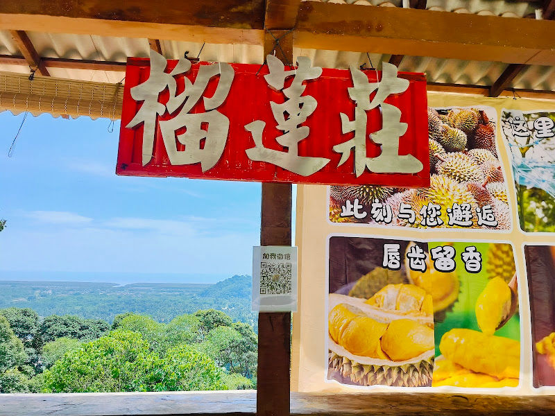 Durian Tree House 榴莲莊