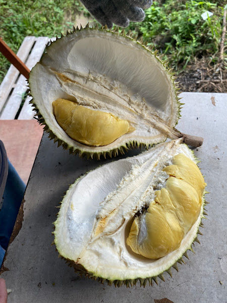 Lian Seng Durian Stall
