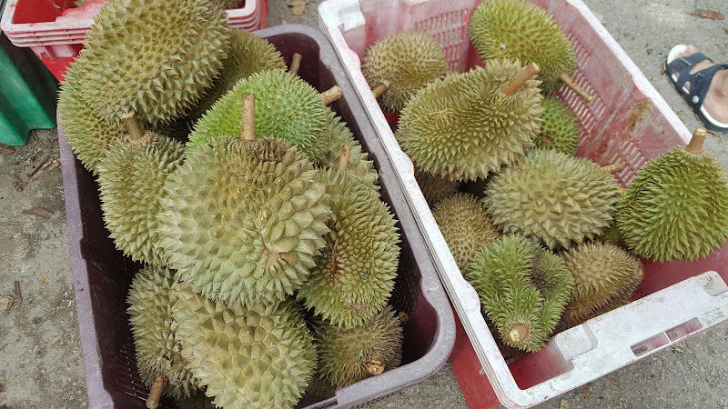 Ah Wei Durian Stall
