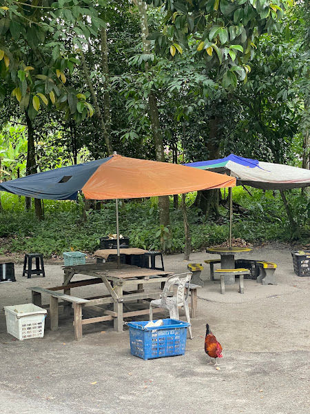 Apok Gerai Durian | Zulkifli