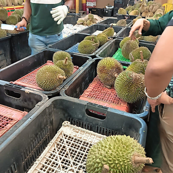 9932 Durian Stall