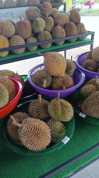 Durian Sedap Melaka