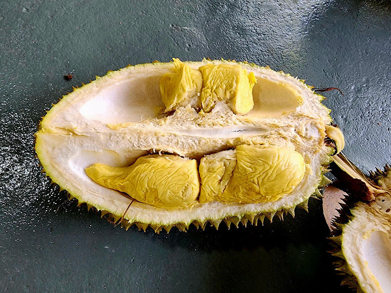 Dusun Durian Sg. Tok Pawang (Eric)