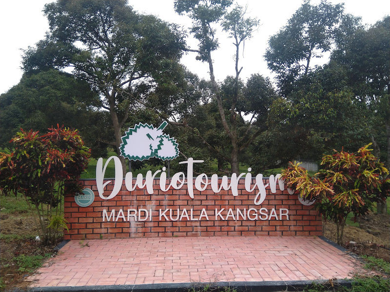 Duriotourism MARDI Kuala Kangsar