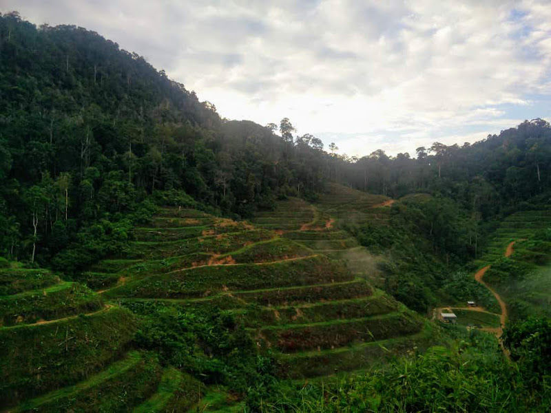 Able Land Sdn Bhd - Durian Garden