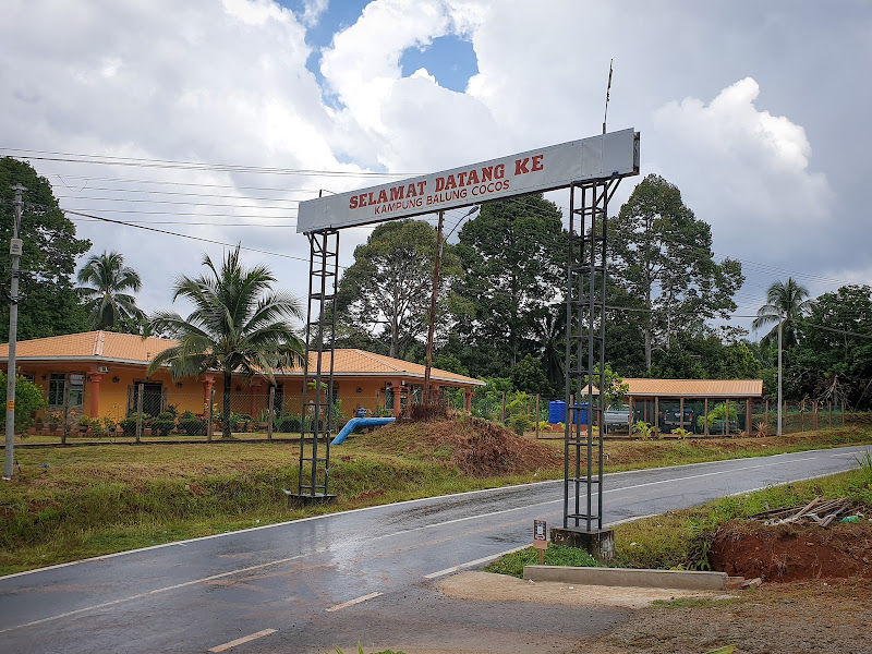Dusun Durian Balung Cocos