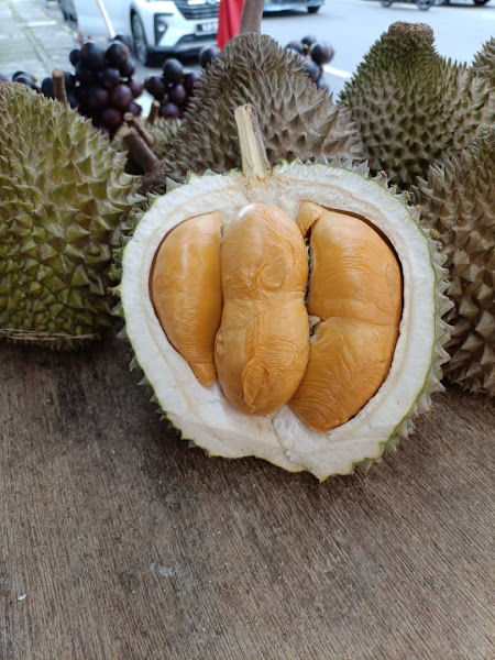 Leng Durian