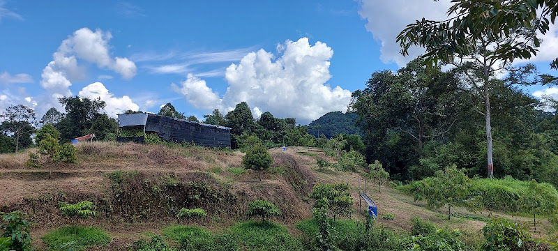 DurioZibethinus Farm 'serian durian farm'