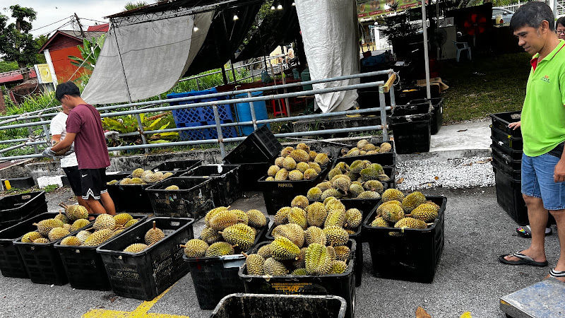 638槟城榴莲(浮罗山背) Durian BalikPulau