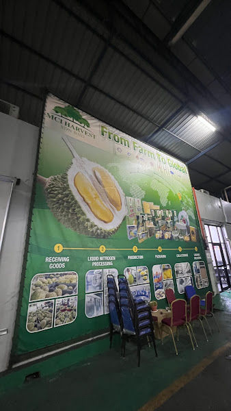 M Durians Fruit (China) Sdn. Bhd.