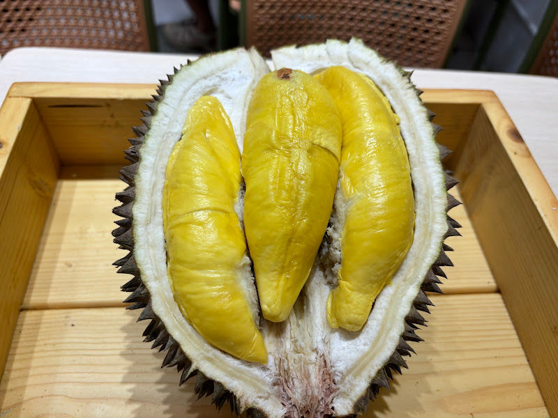 Kinabalu Durian 126 PLT