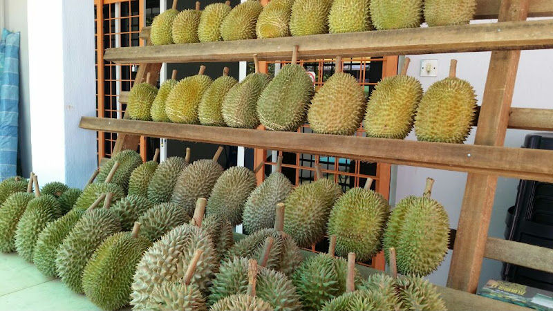 Durian House