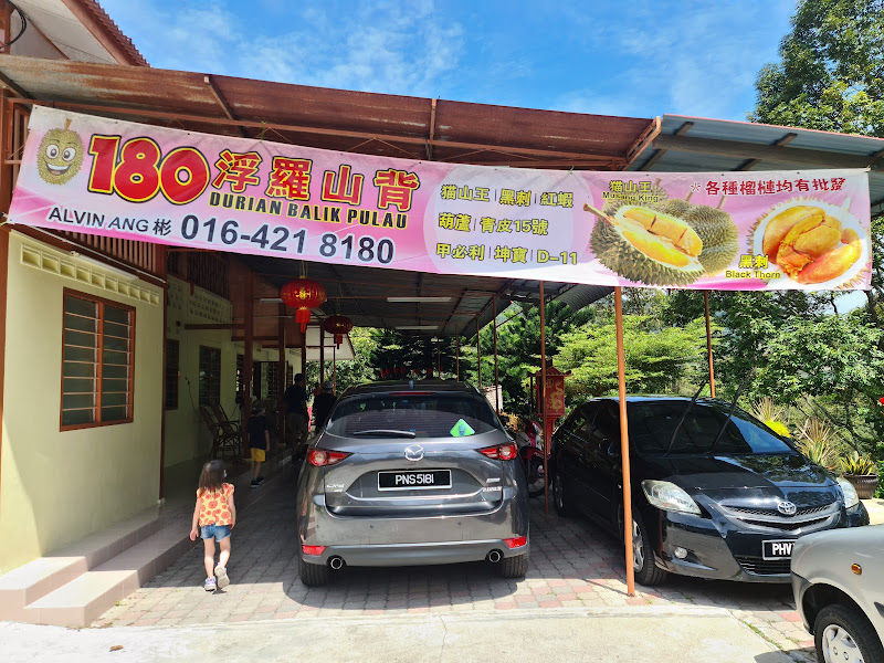 Durian Balik Pulau Alvin Ang