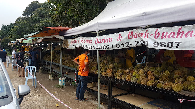 Durian Gemuk Mantin Murah