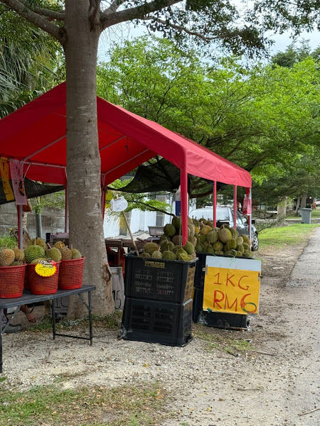 Pey Whuen (Ain) Delicious Durian (PWDD)