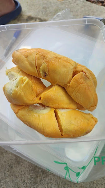 Duri Duri Durian Alor Setar