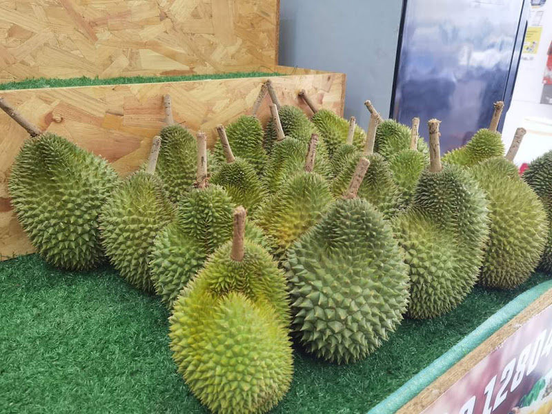 365 Durian
