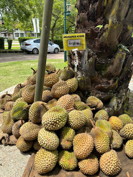 Ezy Durian Putrajaya