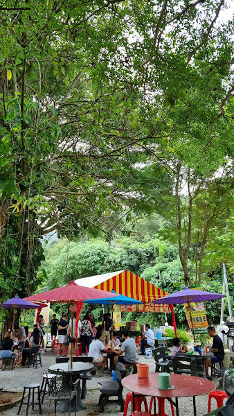 202 Sg. Pinang Middle of Nowhere Durian King (老树榴莲王）