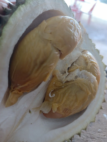 Top Durian & Fresh Fruits