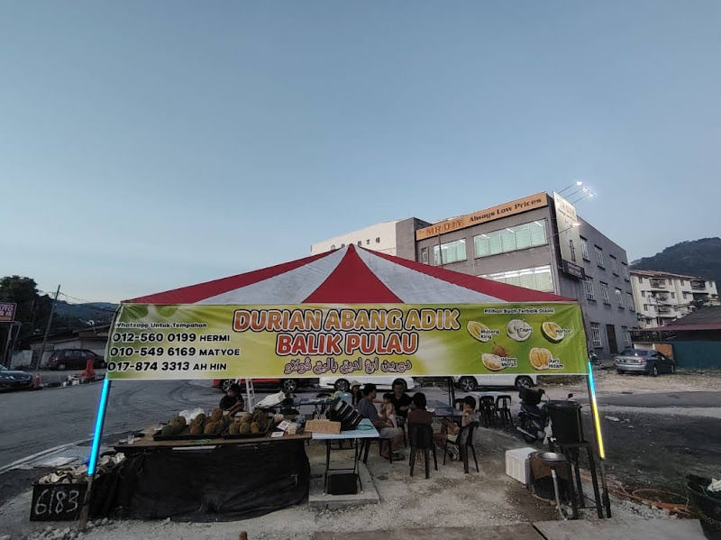 Durian Abang Adik Balik Pulau