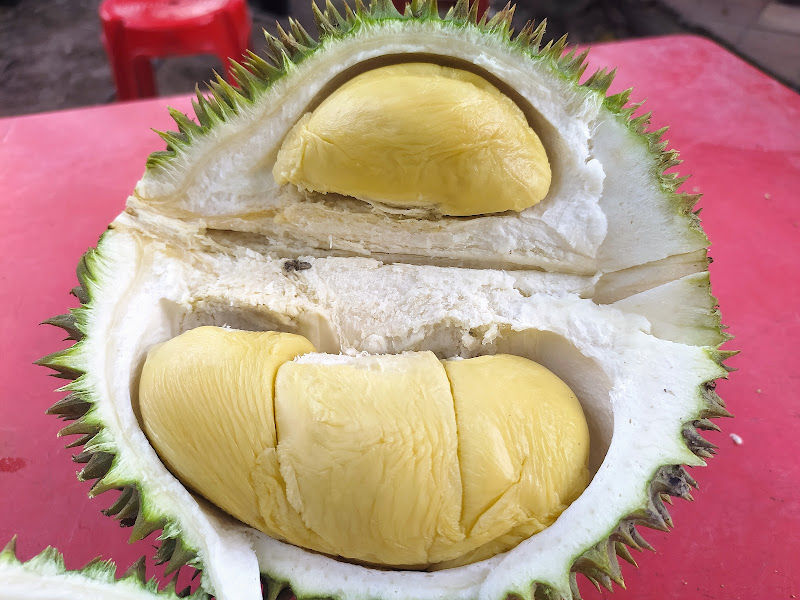 Durian Brothers Seksyen 20