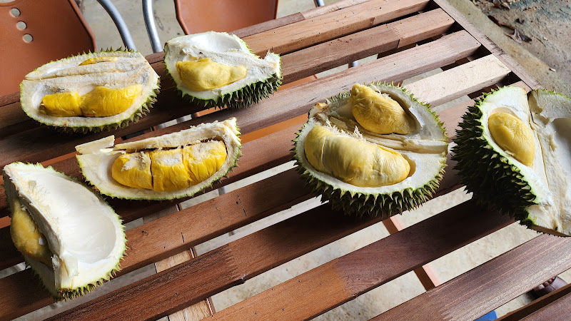 Uncle Cheong Musang King Durian Farm