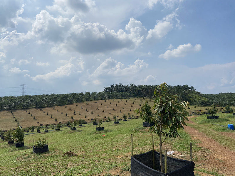 Durian Projects Group Sdn Bhd (Johor)