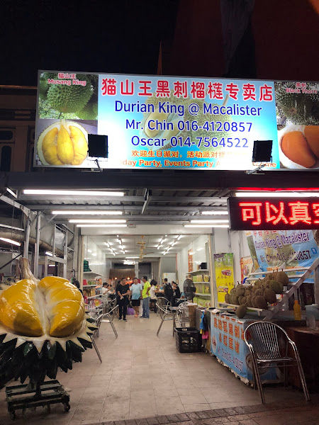 Durian Dynasty Macalister