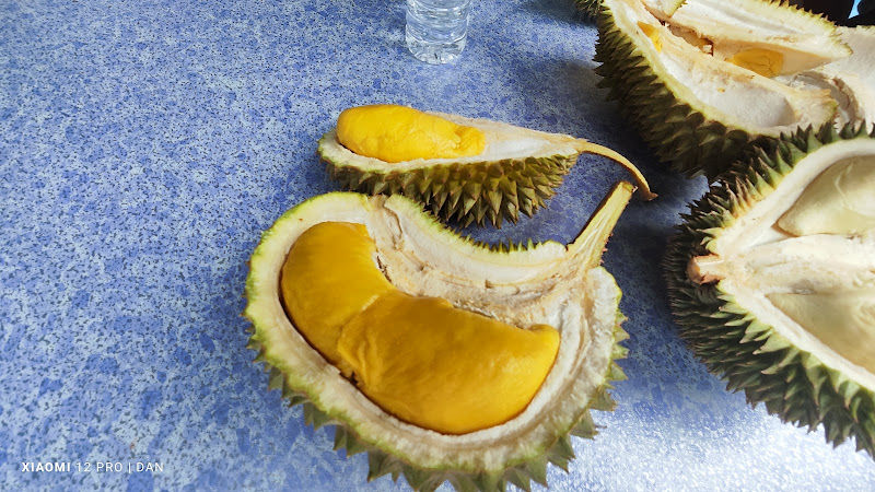 168 Ah Choon Durian Balik Pulau Black Thorn Duri Hitam
