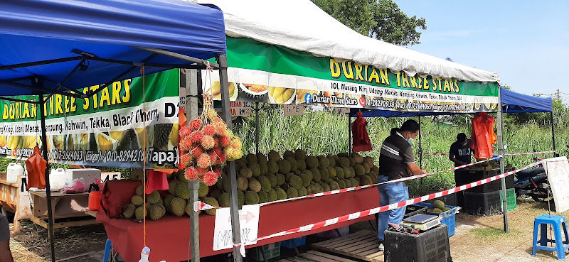 DURIAN THREE STARS