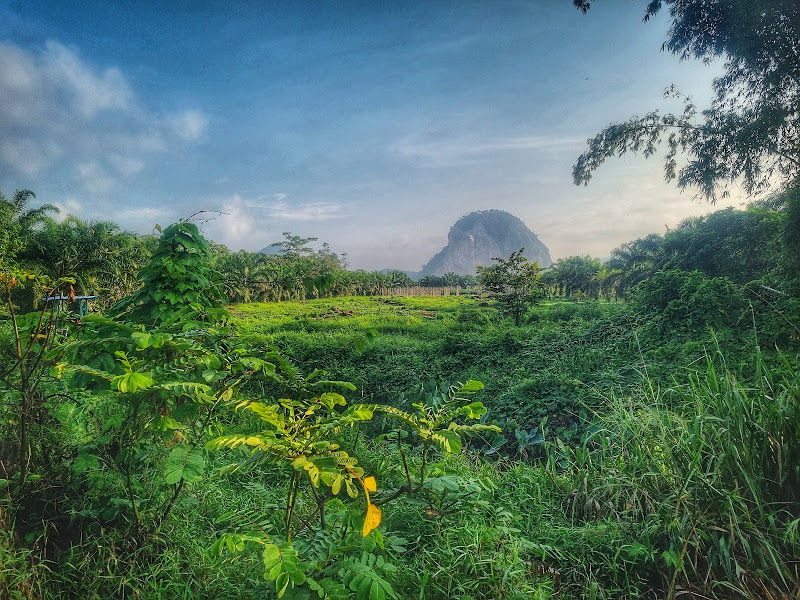 RAUB DURIAN ENTERPRISE