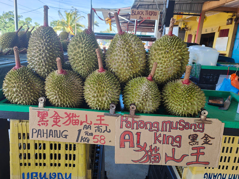 Top 10 durian house