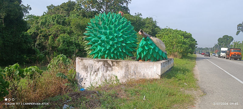 Port Durian Kampung Gajah