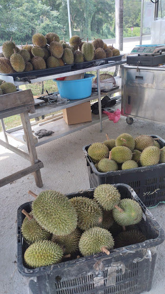 Gerai Lomang Bapak @Durian Bapak