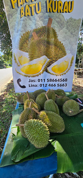 Dusun Durian Kak Lina