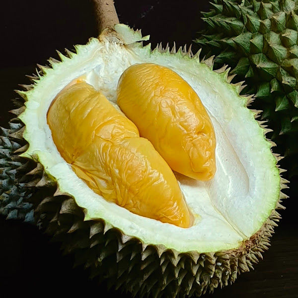Daddy's Durian Puchong