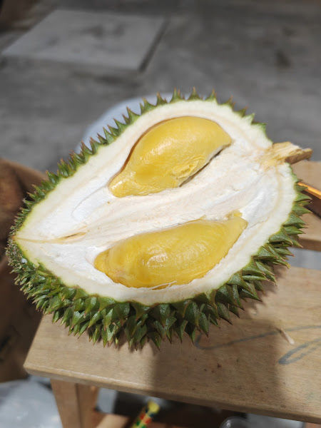 Uncle Liew Durian Farm