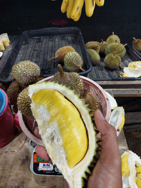 DURIAN BALIK PULAU