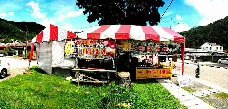 Kebun Sam Hoe 三和园榴莲