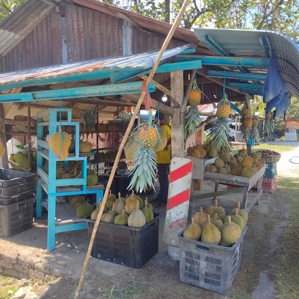 Durian Pak Long Batu 10