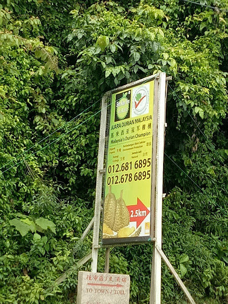 Sim Koa Yen Durian Farm